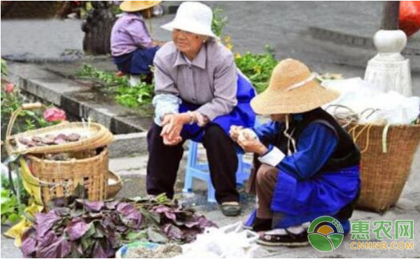 卖菜怎样卖才能赚钱？卖菜和卖水果哪个更赚钱？