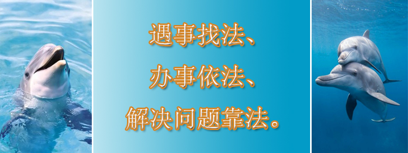 名为资本运作，实为传销骗财—首要分子获刑领罚